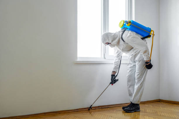 Flea Control Services in De Leon Springs, FL